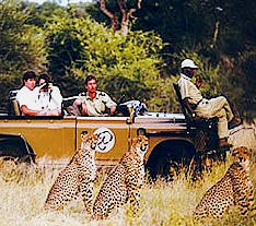 game drive