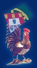  Rooster of Barcelos - symbol of Portugal